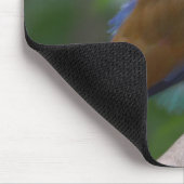 Hübscher Vogel Mousepad (Ecke)