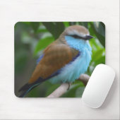 Hübscher Vogel Mousepad (Mit Mouse)