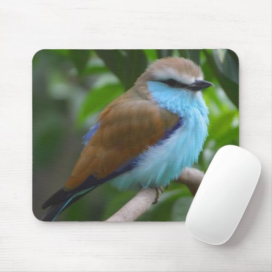 Hübscher Vogel Mousepad (Mit Mouse)