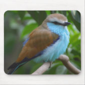 Hübscher Vogel Mousepad (Vorne)