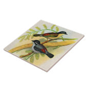 hübscher Vogeldruck Fliese (Seite)