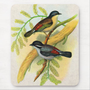 hübscher Vogeldruck Mousepad