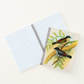 hübscher Vogeldruck Notizblock (Innenseite)