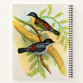 hübscher Vogeldruck Notizblock (Rückseite)