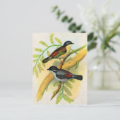 hübscher Vogeldruck Postkarte (Stehend Vorderseite)