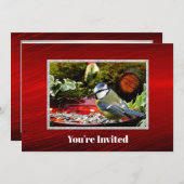 Hübscher Vogelroter Feeder Foto Geburtstag Einladung (Vorne/Hinten)