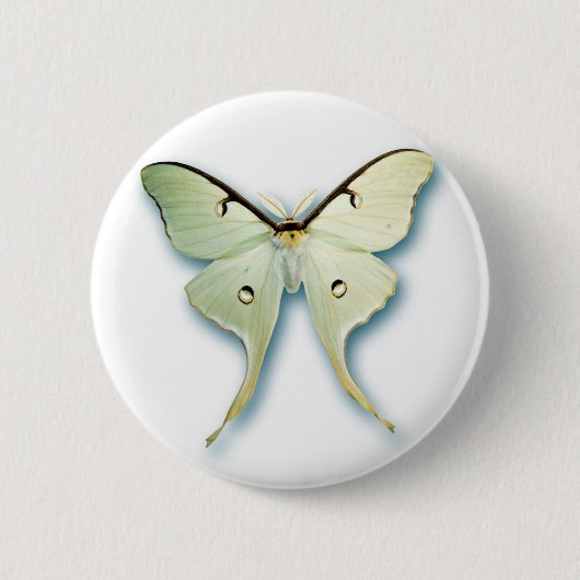 Hübscher weißer Schmetterlings-Entwurf Button (Vorderseite)