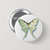 Hübscher weißer Schmetterlings-Entwurf Button (Vorne & Hinten)