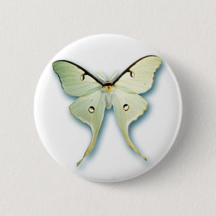 Hübscher weißer Schmetterlings-Entwurf Button