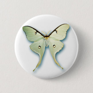 Hübscher weißer Schmetterlings-Entwurf Button