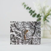 Hübscher Weißschneebaum Postkarte (Stehend Vorderseite)