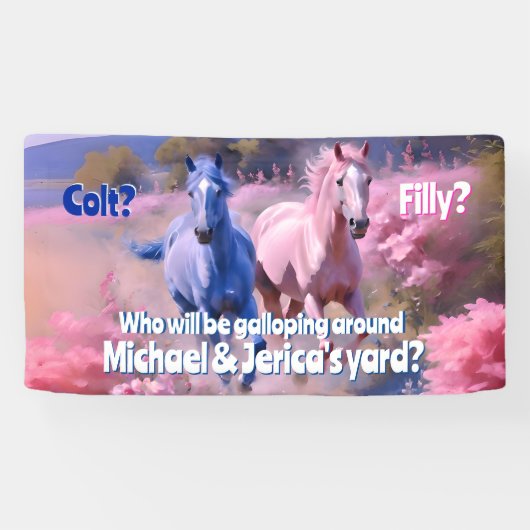 Hübscher Western- oder Farbstil Banner (Horizontal)