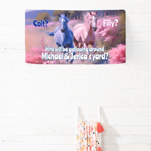 Hübscher Western- oder Farbstil Banner (InSitu)