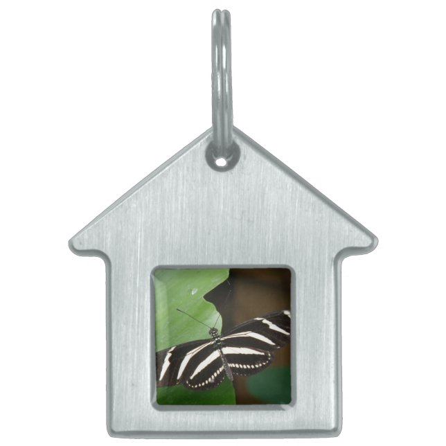 Hübscher Zebra-Langwing-Schmetterling-Tag Tiermarke (Vorderseite)