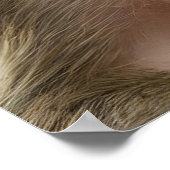 Hübsches Affenportrait Poster (Ecke)