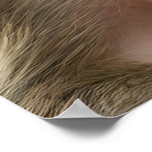 Hübsches Affenportrait Poster (Ecke)