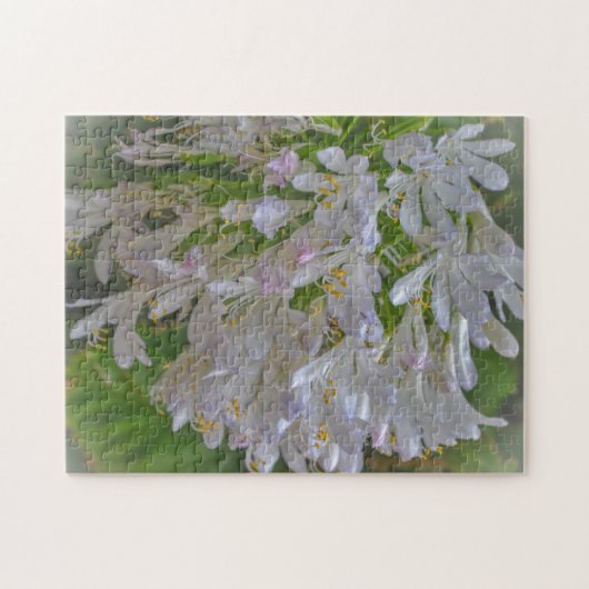 Hübsches Agapanthus Lily Blumengarten Puzzle (Horizontal)