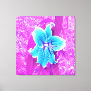 Hübsches Aqua Blue Stargazer Livio Lila Leinwanddruck