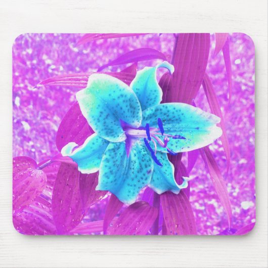 Hübsches Aqua Blue Stargazer Livio Lila Mousepad (Vorne)