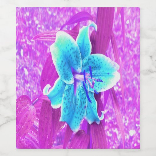 Hübsches Aqua Blue Stargazer Livio Lila Weinetikett (Einzelnes Label)