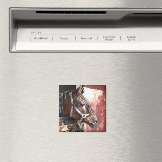 Hübsches Bay Horn im sonnigen Stall Magnet (In Situ (Geschirrspüler))