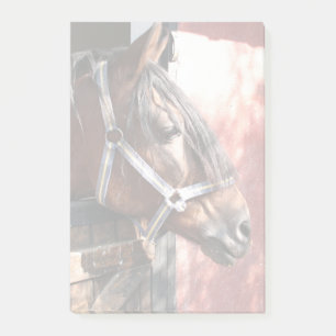 Hübsches Bay Horn im sonnigen Stall Post-it Klebezettel