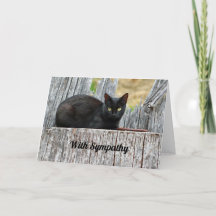 Hübsches Beileid für das Foto "Black Cat Log"