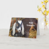 Hübsches Beileid für Nubian Goat Foto Karte (Gelbe Blume)