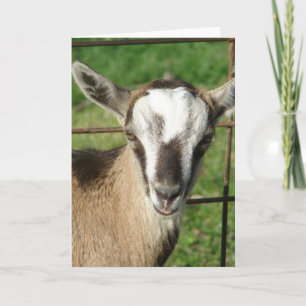 Hübsches Billy Kid Karte