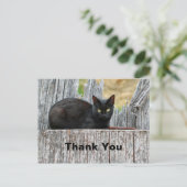 Hübsches Black Cat Log Foto Vielen Dank Postkarte (Stehend Vorderseite)