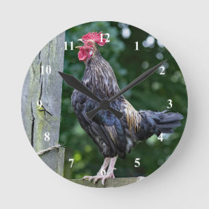 Hübsches Black Rooster Crowing Foto Runde Wanduhr