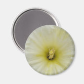 Hübsches blass-daffodisches Magnet (Vorderseite/Rückseite)