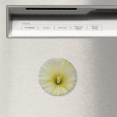 Hübsches blass-daffodisches Magnet (In Situ (Geschirrspüler))
