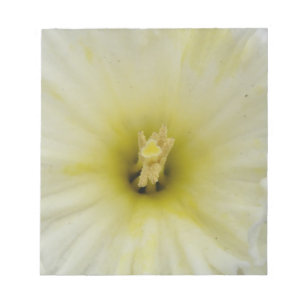 Hübsches, blass gefärbtes Daffodil Notepad Notizblock