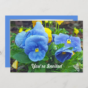 Hübsches Blau und Gelb Pansy Foto Geburtstag Einladung