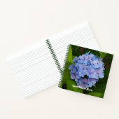 Hübsches Blau- und Rosa-Hydrangea-Foto Notizblock (Innenseite)