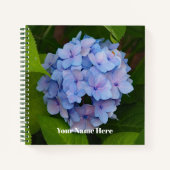 Hübsches Blau- und Rosa-Hydrangea-Foto Notizblock (Vorderseite)