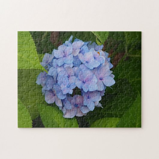 Hübsches Blau- und Rosa-Hydrangea-Foto Puzzle (Horizontal)