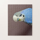 Hübsches Blaues Parakeet Foto Jigsaw Puzzle (Vertikal)