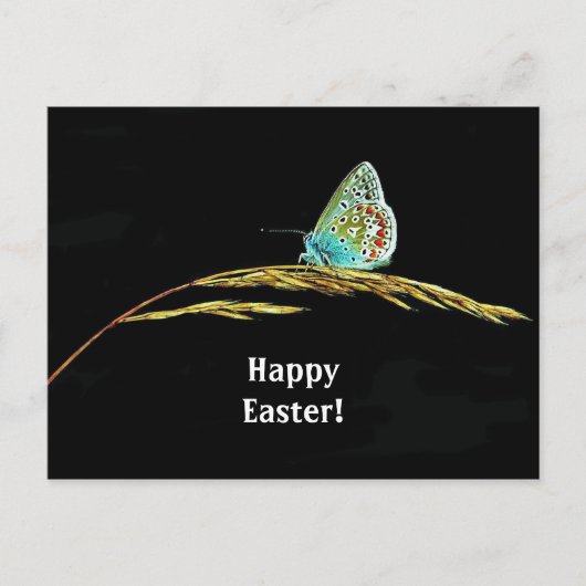 Hübsches blaues Schmetterlingsgras Foto Osterfeier Postkarte (Vorderseite)