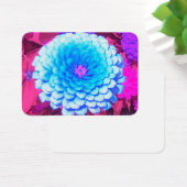 Hübsches blaues Zinnia im Lila Sommergarten (Schreibtisch)