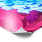 Hübsches blaues Zinnia im Lila Sommergarten Fotodruck (Ecke)