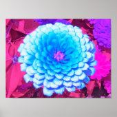 Hübsches blaues Zinnia im Lila Sommergarten Poster (Vorne)