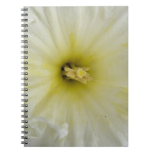 Hübsches, bleifreies affodisches Notebook Notizblock (Vorderseite)