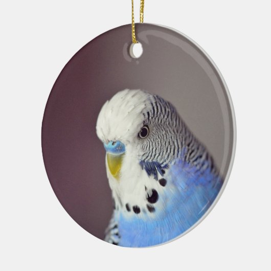Hübsches Blue Budgie Foto Keramik Ornament (Links)