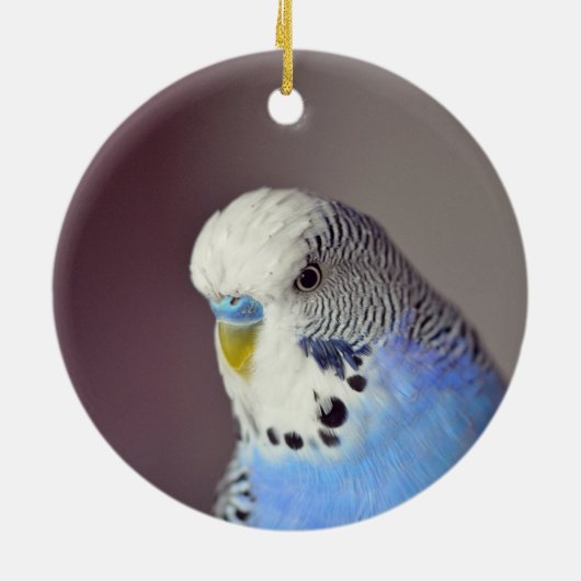 Hübsches Blue Budgie Foto Keramik Ornament (Hinten)