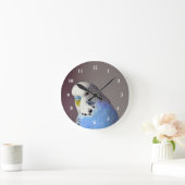 Hübsches Blue Budgie Foto Runde Wanduhr (Zuhause)