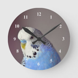 Hübsches Blue Budgie Foto Runde Wanduhr