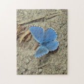 Hübsches Blue Butterfly-Foto Puzzle (Vertikal)