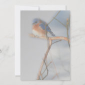 Hübsches Bluebird Nature Party Einladung (Rückseite)